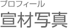 プロフィール、宣材写真